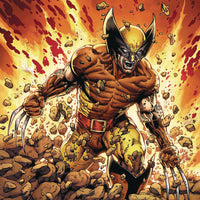 RETURN OF WOLVERINE #1 (OF 5) MCNIVEN BROWN & TAN COSTUME VA