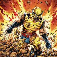 RETURN OF WOLVERINE #1 (OF 5) MCNIVEN ORIGINAL WOLVERINE VAR