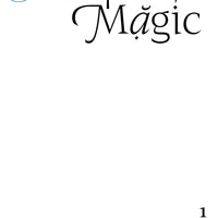 BOOKS OF MAGIC #1 BLANK VAR ED (MR)