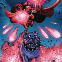 BOYS TP VOL 04 WE GOTTA GO NOW ROBERTSON REMARKED ED (MR) (C