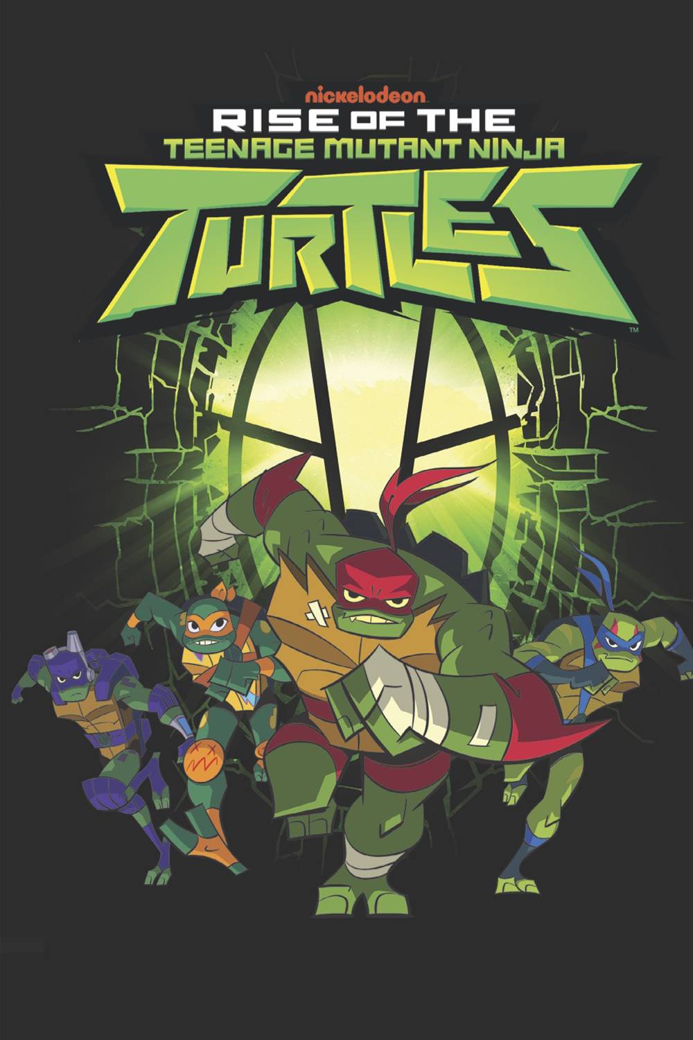 TMNT RISE OF THE TMNT TP VOL 01
