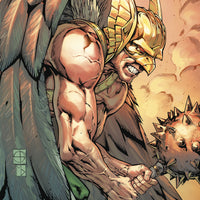 HAWKMAN #9 VAR ED