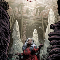 JIM HENSON BENEATH DARK CRYSTAL #8 (OF 12) MAIN CVR DEWEY