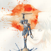 XENA WARRIOR PRINCESS #1 10 COPY MACK VIRGIN INCV