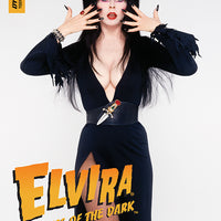 ELVIRA MISTRESS OF DARK #10 CVR D PHOTO