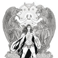 DC POSTER PORTFOLIO FRANK CHO TP