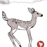 LIFE IS STRANGE #6 CVR C TSHIRT (MR)