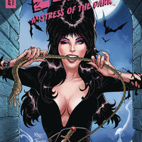 ELVIRA MISTRESS OF DARK #11 CVR C ROYLE