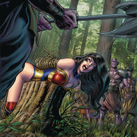 GRIMM FAIRY TALES #31 CVR D GEORGE