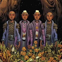 DUNGEONS & DRAGONS A DARKENED WISH #5 (OF 5) CVR A FOWLER