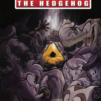 SONIC THE HEDGEHOG #22 CVR B SKELLY