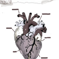 LIFE IS STRANGE #9 CVR C TSHIRT (MR)