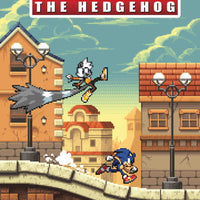 SONIC THE HEDGEHOG #24 CVR B HAMMERSTROM