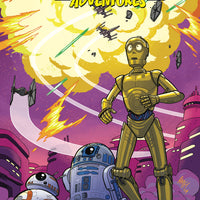 STAR WARS ADVENTURES #29 CVR B FLEECS