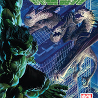 IMMORTAL HULK #29