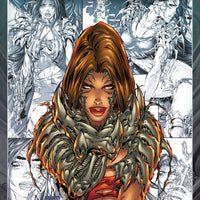 COMP WITCHBLADE TP VOL 01 (MR)
