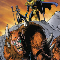 HE MAN AND THE MASTERS OF THE MULTIVERSE #5 (OF 6)