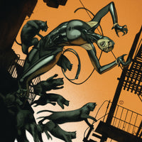 CATWOMAN #22 CARD STOCK J T TEDESCO VAR ED