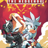 SONIC THE HEDGEHOG #28 CVR B CURRY