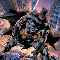 BATMANS GRAVE #7 (OF 12)