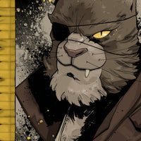 TMNT ONGOING COLL HC VOL 12