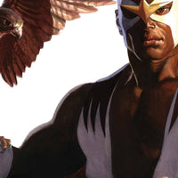 CAPTAIN AMERICA #24 ALEX ROSS FALCON TIMELESS VAR