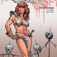 RED SONJA PRICE OF BLOOD #3 CVR C LINSNER