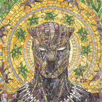BLACK PANTHER #25 CASSARA STORMBREAKERS VAR