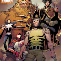 WOLVERINE #11 PACHECO REBORN VAR