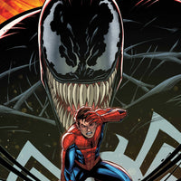 SPIDER-MAN SPIDERS SHADOW #1 (OF 4) RON LIM VAR