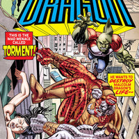 SAVAGE DRAGON #260 CVR B RETRO 70S TRADE DRESS (MR)