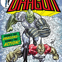 SAVAGE DRAGON #261 CVR B RETRO 70S TRADE DRESS (MR)