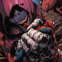 AMAZING SPIDER-MAN #71 SINW