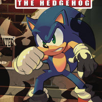 SONIC THE HEDGEHOG #43 CVR B MATT HERMS
