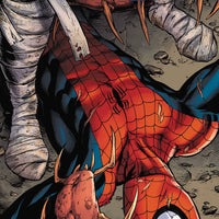 AMAZING SPIDER-MAN #72 SINW