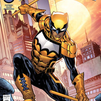 BATMAN SECRET FILES SIGNAL #1 CVR A LASHLEY