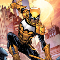 BATMAN SECRET FILES SIGNAL #1 CVR C 25 COPY CARDSTOCK LASHLE