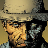 WALKING DEAD DLX #8 2ND PTG CVR A FINCH & MCCAIG (MR)