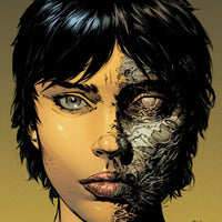 WALKING DEAD DLX #11 2ND PTG CVR A FINCH & MCCAIG (MR)