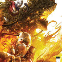 SWAMP THING #6 CVR B CARDSTOCK VAR