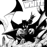 BATMAN BLACK & WHITE HC