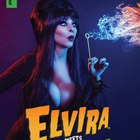 ELVIRA MEETS VINCENT PRICE #3 CVR D PHOTO